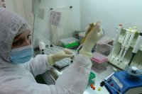 В Красноярск поступили 2000 тест-систем для быстрого выявления антител к коронавирусу