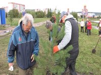 Комсомольцы-активисты времен Советского союза высадили вдоль озера у 176 школы саженцы сосен