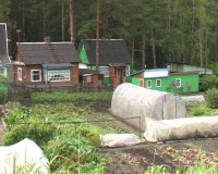 В Красноярском крае применят социальную норму потребления электроэнергии в садоводствах,