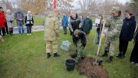 Школьники и военные высадили молодые деревья в память о защитниках Отечества