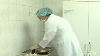 В Зеленогорске зарегистрирован случай заболевания менингококковой инфекцией