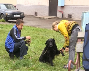 В Зеленогорске собак травят ядом