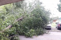 В КБУ устраняют последствия штормового ветра