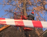 Ликвидировать опасные деревья мешает припаркованный транспорт