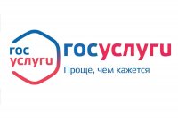 IT –специалисты городской администрации оказывают помощь при регистрации на портале gosuslugi.ru