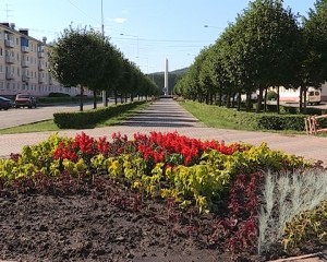 На новой клумбе в центре аллеи Победы высаживают цветы