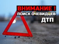 Полицейские разыскивают виновного в ДТП