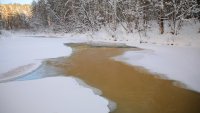 Грязная вода в реке Богунай вызвала массовые возмущения зеленогорцев в социальных сетях