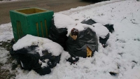 Мешки с мусором напротив 172 школы почти месяц лежали неубранными