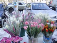 Сорок фактов несанкционированной продажи цветов выявили полицейские