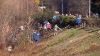 Сегодня на набережной атомграда прошла масштабная уборка и валка ивняка