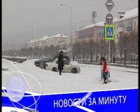 Зеленогорск участвует в акции «Неделя за жизнь. Михайловские дни»