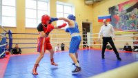 В Зеленогорске Первенство по боксу посвятили Дню тренера