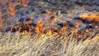Выжигание травы, разведение костров на полях запрещены