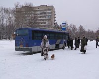 Горожане хотят по-старому удобно добираться до Краевой больницы и онкоцентра