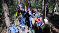 Учения по поиску пропавших в лесу людей провели сегодня зеленогорские спасатели